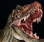 Photo de profil de christianosaurus