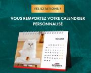 Image réduite du lot