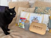 Image réduite du lot