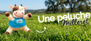 Image réduite du lot