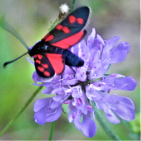 Photo de profil de casadi