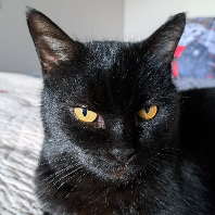 Photo de profil de nad6879