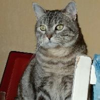 Photo de profil de maille24