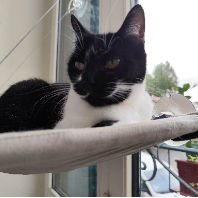 Photo de profil de cva35