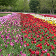 Photo de profil de louisadel