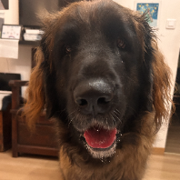 Photo de profil de renseignements