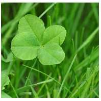 Photo de profil de campsinette