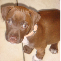 Photo de profil de matrix33