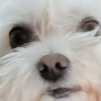 Photo de profil de morticia40